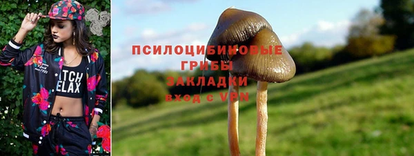 mix Алексин