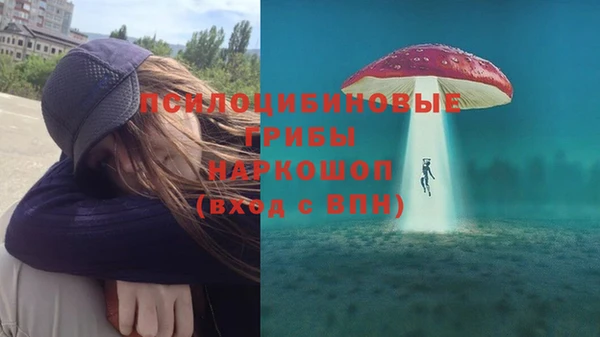 mix Алексин