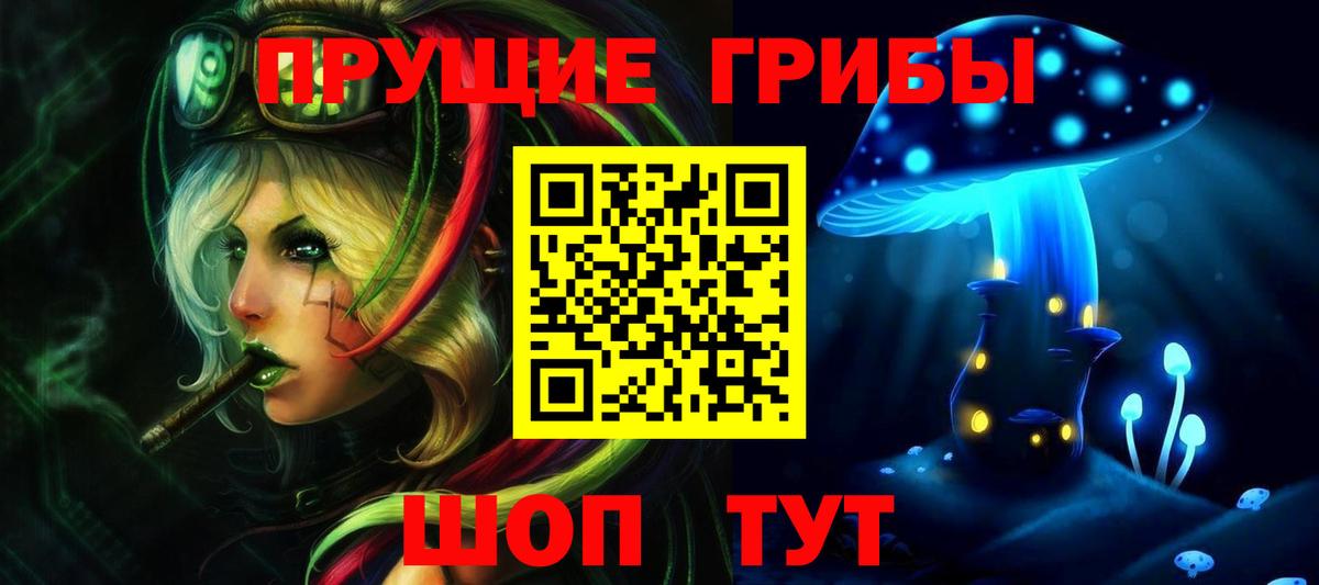 Галлюциногенные грибы GOLDEN TEACHER  Галлюциногенные грибы Psilocybe  Вход с VPN  Мегион 